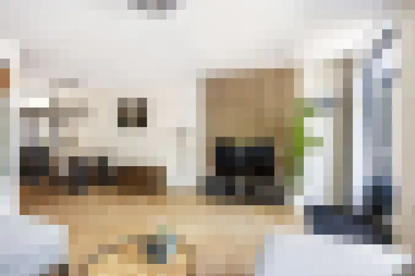 Vaargeul 221 Groningen thumbnail 15