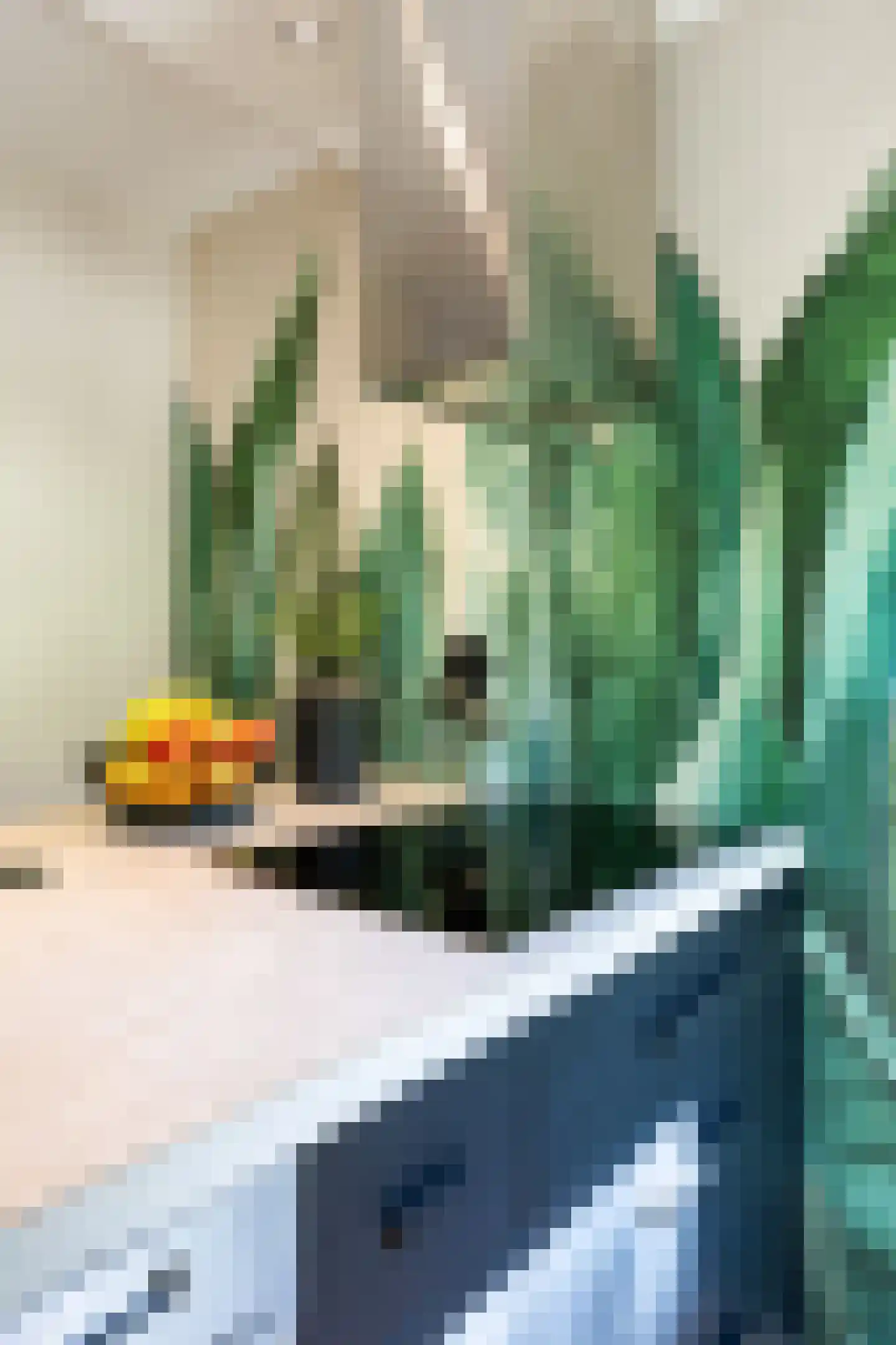 Vaargeul 221 Groningen thumbnail 23