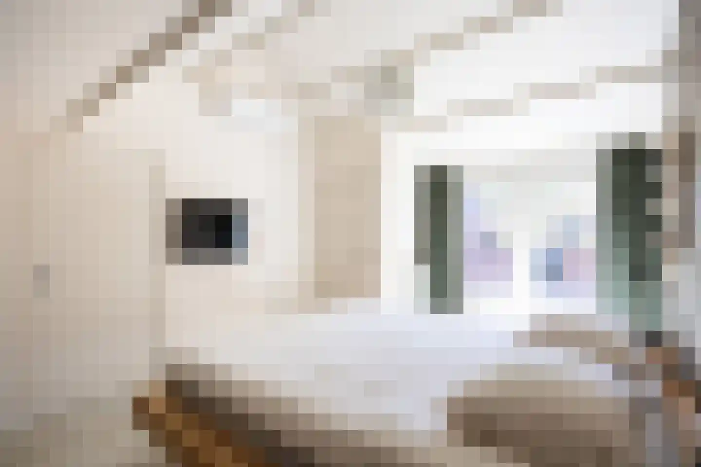 Vaargeul 221 Groningen thumbnail 44
