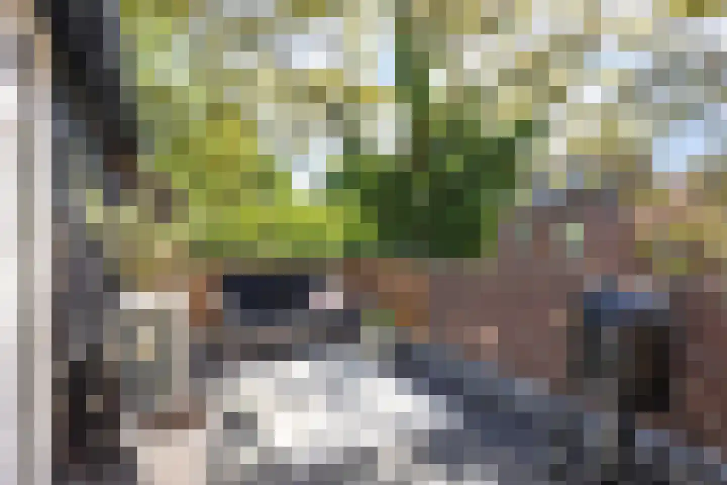 Vaargeul 221 Groningen thumbnail 45