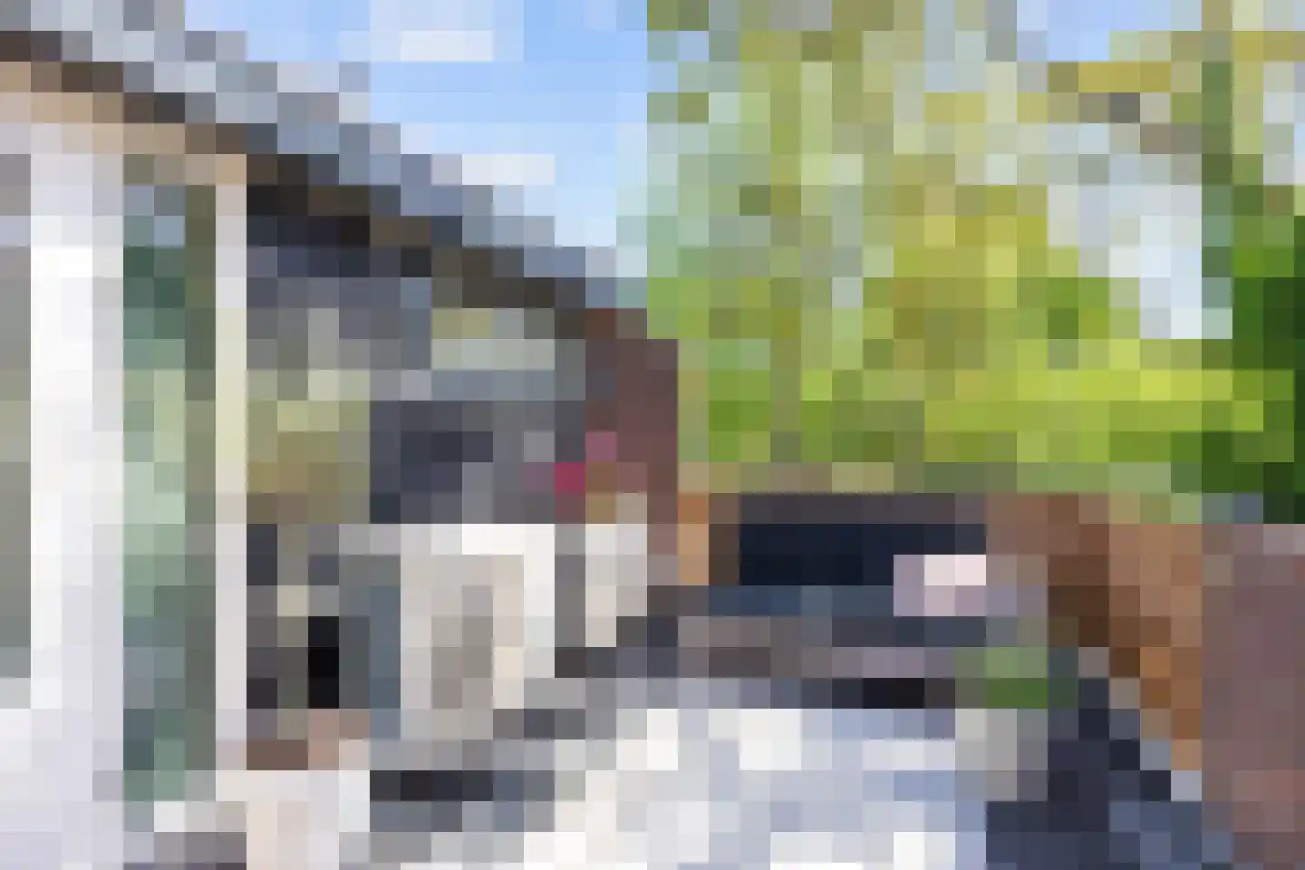 Vaargeul 221 Groningen thumbnail 46