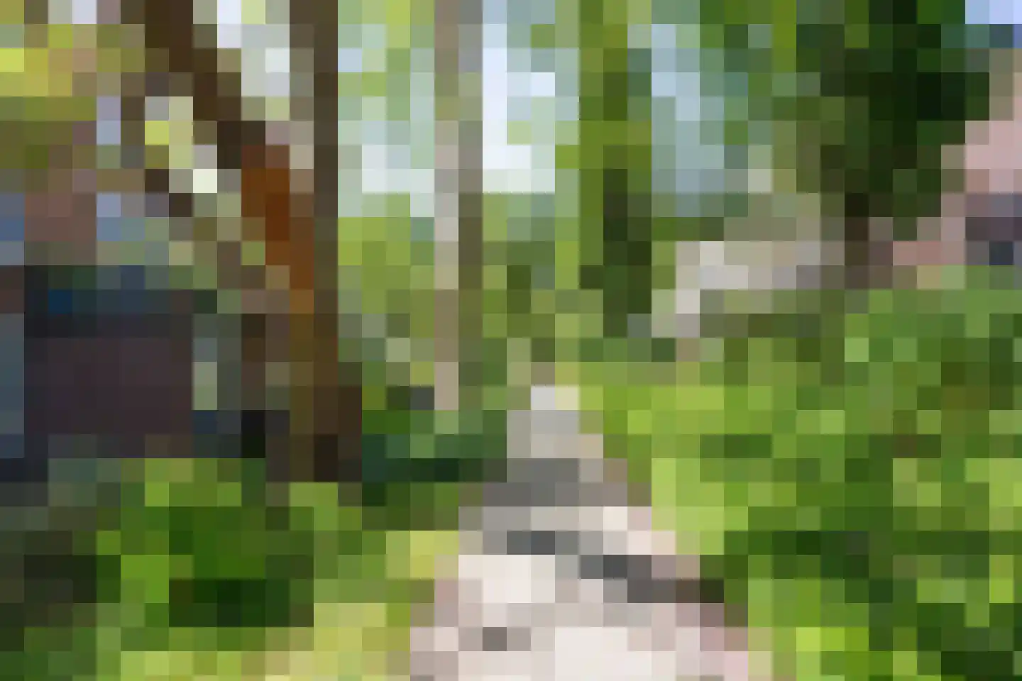 Vaargeul 221 Groningen thumbnail 50