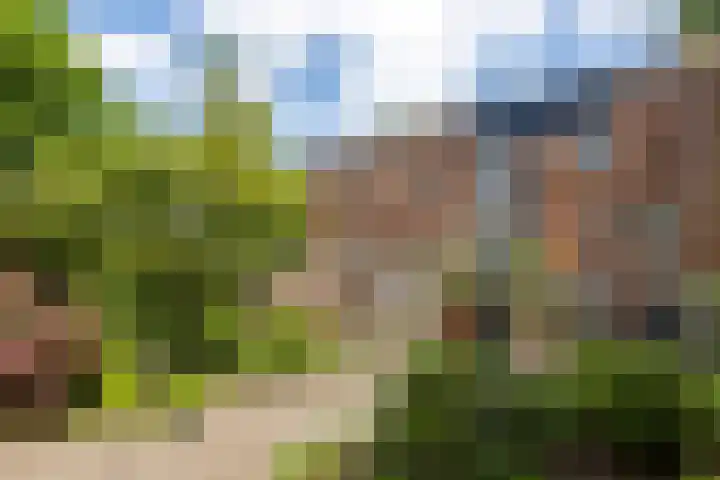 Vaargeul 229 in Groningen