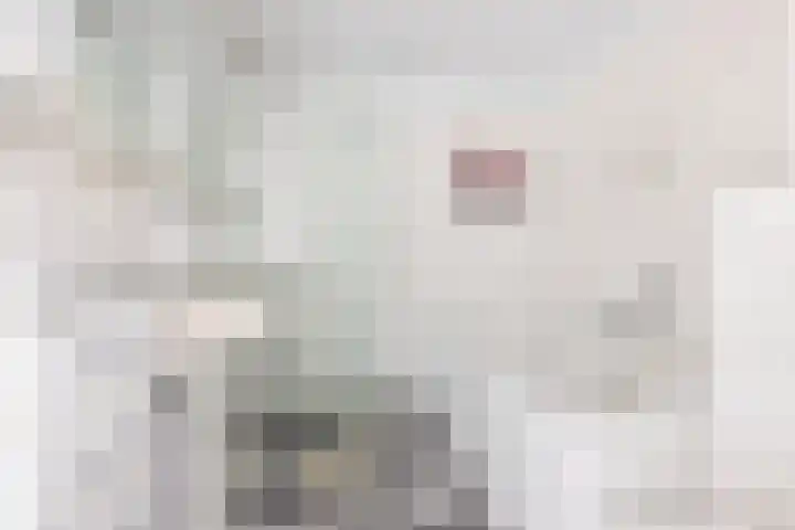 Vaargeul 229 Groningen thumbnail 26
