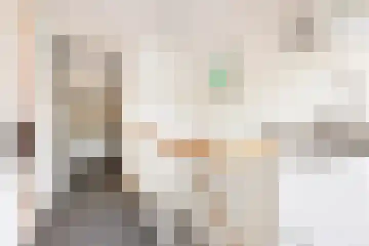 Vaargeul 229 Groningen thumbnail 29
