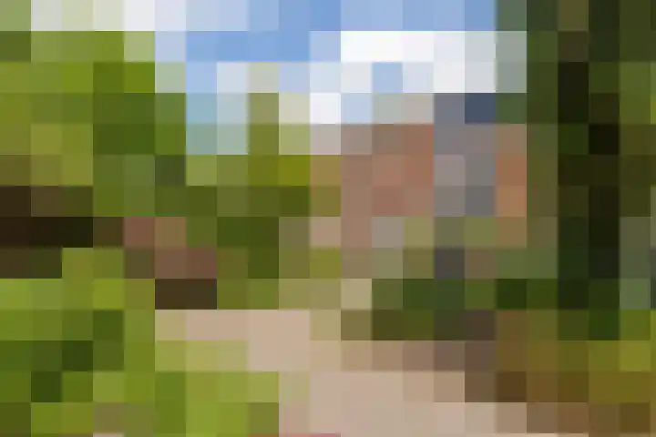 Vaargeul 229 Groningen thumbnail 33