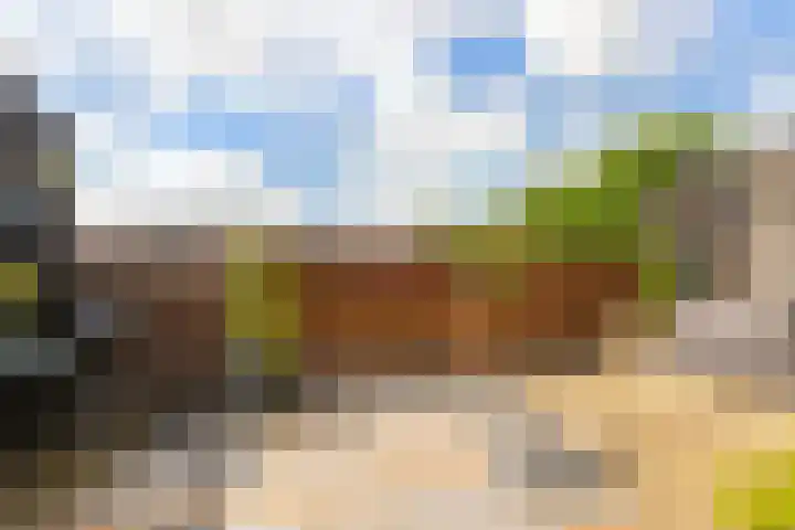 Vaargeul 229 Groningen thumbnail 36
