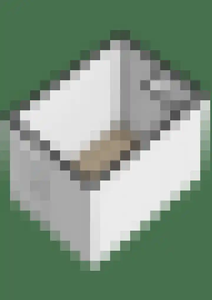 Vaargeul 229 Groningen thumbnail 51