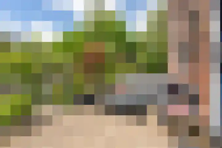Vaargeul 229 Groningen thumbnail 7
