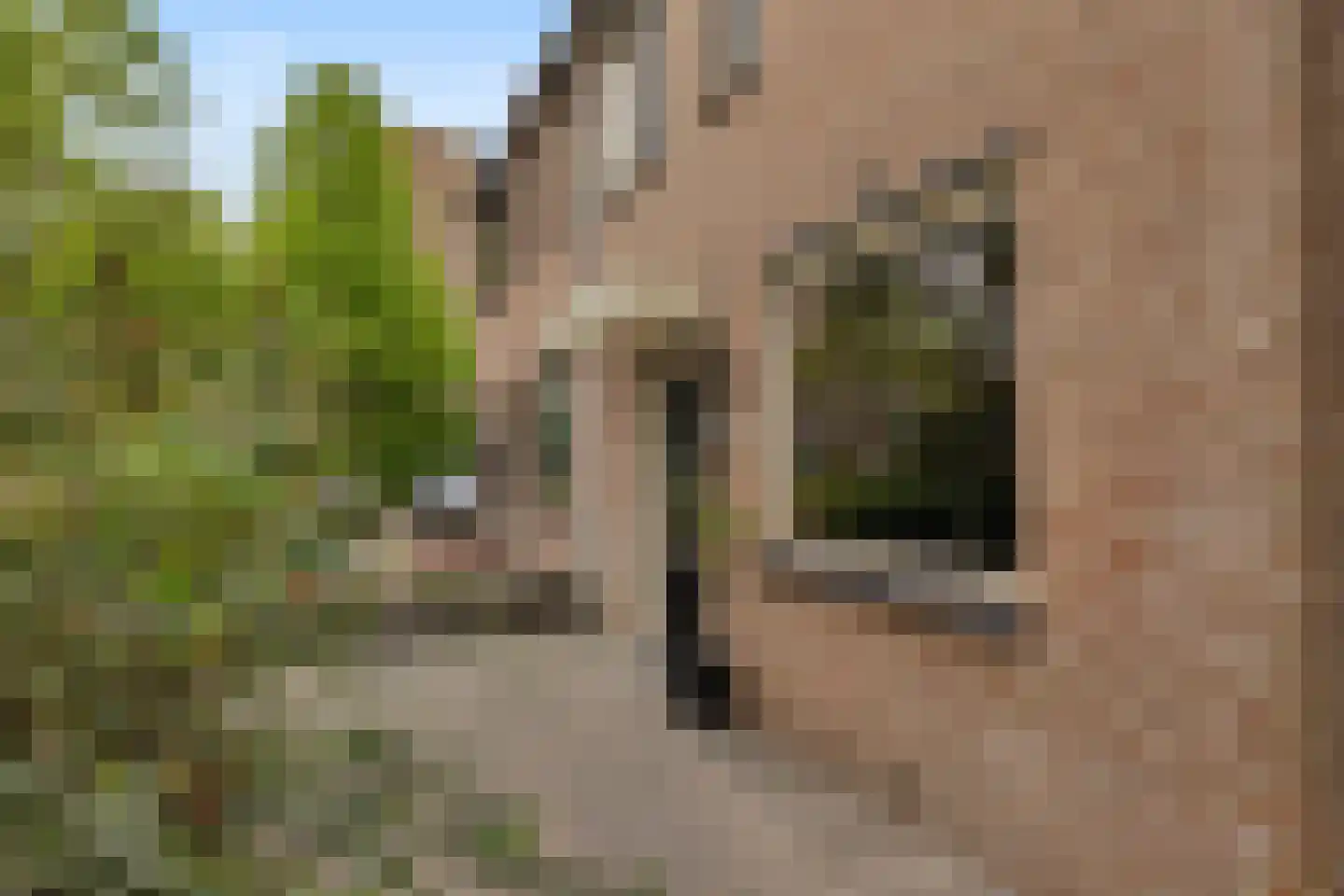 Vaargeul 45 Hellevoetsluis thumbnail 8