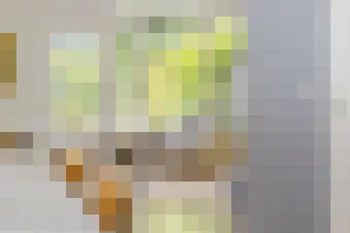 Vaargeul 95 Groningen thumbnail 10