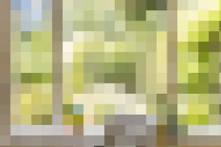 Vaargeul 95 Groningen thumbnail 13