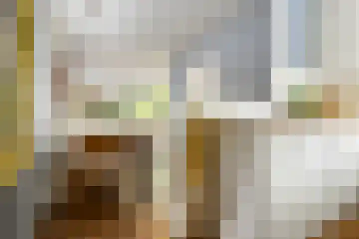Vaargeul 95 Groningen thumbnail 20