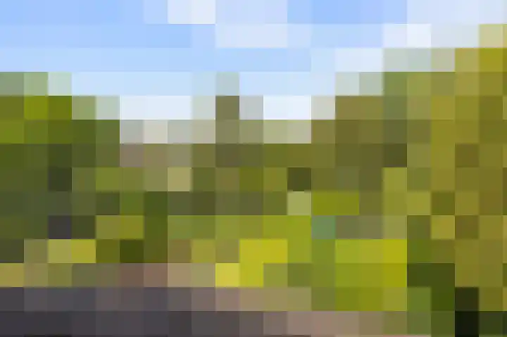Vaargeul 95 Groningen thumbnail 38