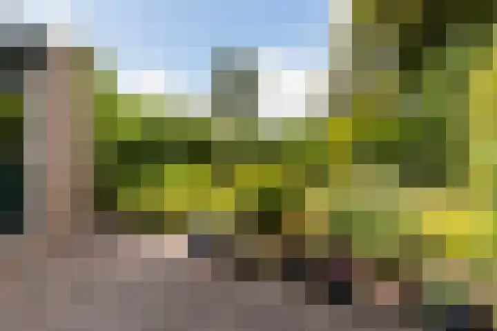 Vaargeul 95 Groningen thumbnail 39