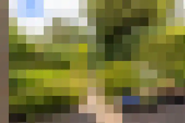 Vaargeul 95 Groningen thumbnail 40
