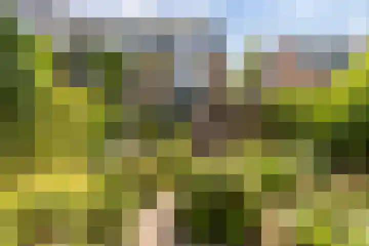 Vaargeul 95 Groningen thumbnail 42