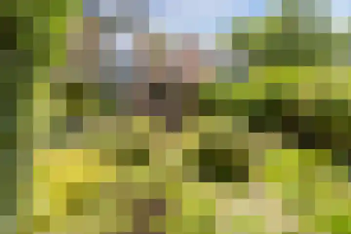 Vaargeul 95 Groningen thumbnail 43
