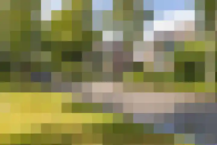 Vaargeul 95 Groningen thumbnail 45