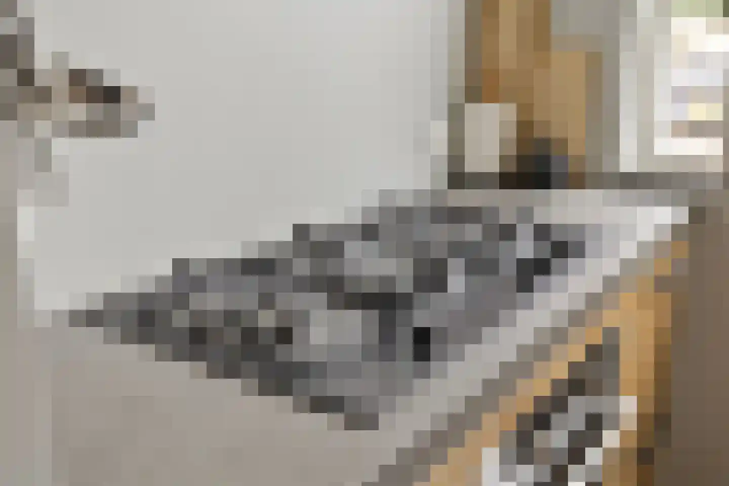 Vaarkamperhof 5 Lunteren thumbnail 13