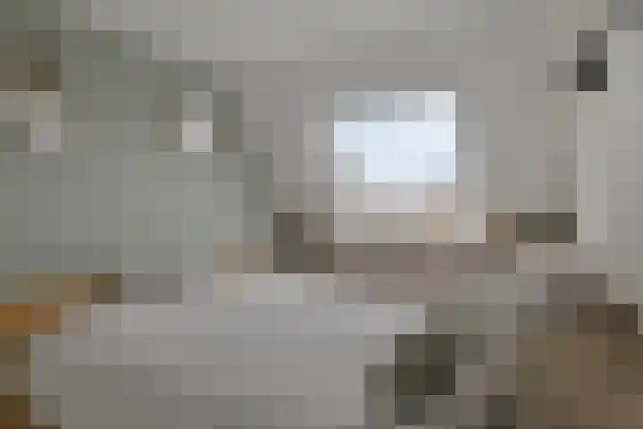 Vaarkamperhof 5 Lunteren thumbnail 19