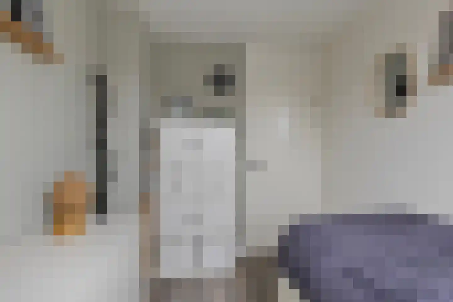 Vaarkamperhof 5 Lunteren thumbnail 22