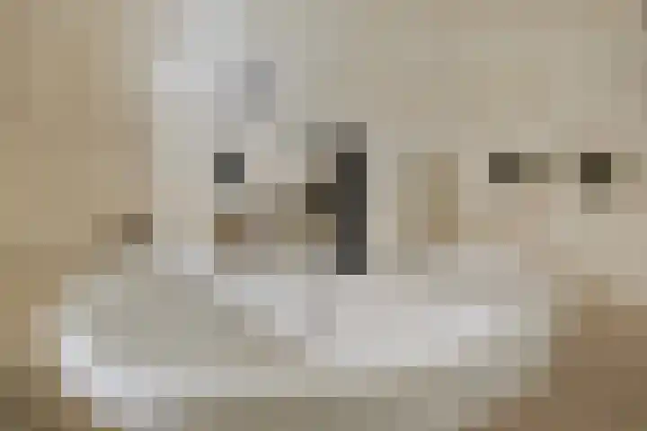 Vaarkamperhof 5 Lunteren thumbnail 26
