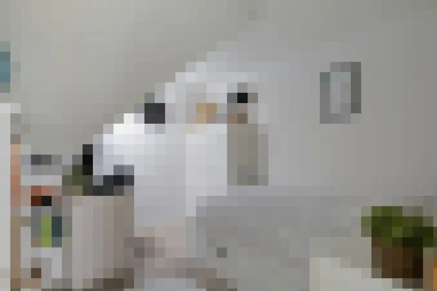 Vaarkamperhof 5 Lunteren thumbnail 30