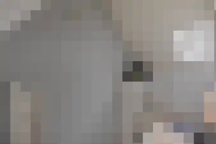 Vaarkamperhof 5 Lunteren thumbnail 33