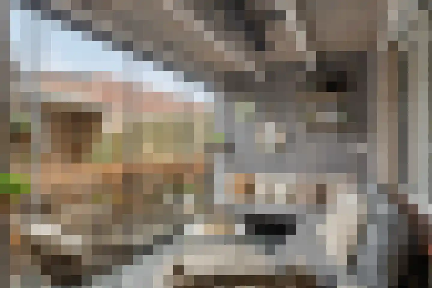 Vaarkamperhof 5 Lunteren thumbnail 35