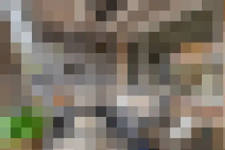 Vaarkamperhof 5 Lunteren thumbnail 36