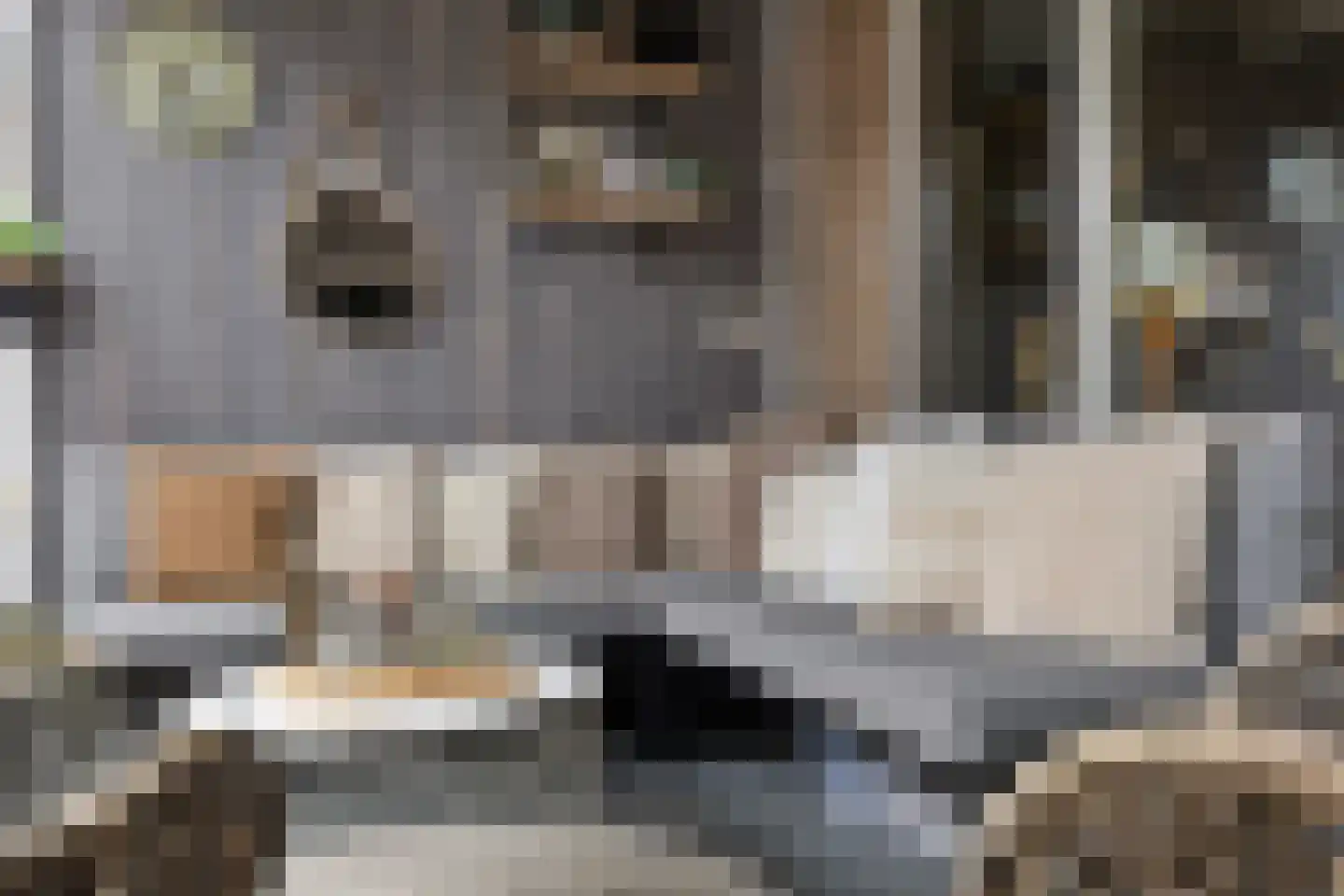 Vaarkamperhof 5 Lunteren thumbnail 37
