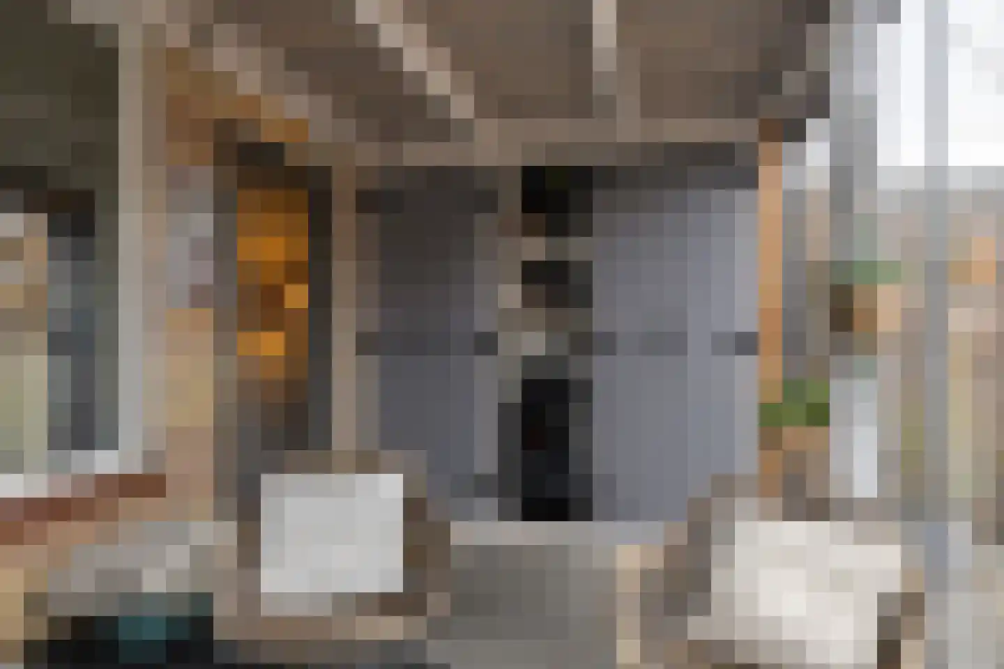 Vaarkamperhof 5 Lunteren thumbnail 38