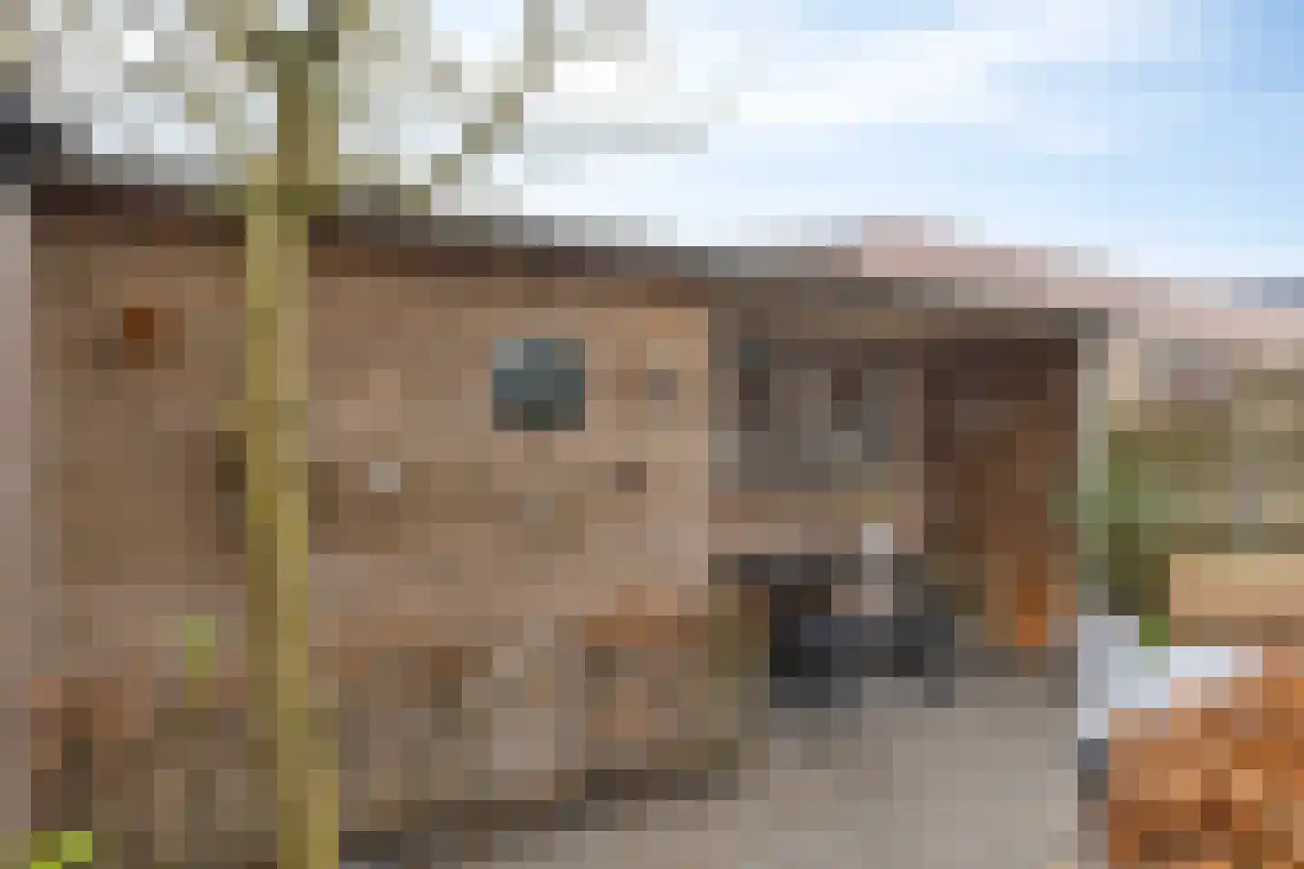 Vaarkamperhof 5 Lunteren thumbnail 41
