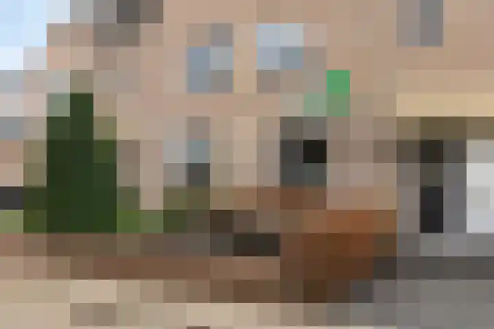 Vaarkamperhof 5 Lunteren thumbnail 5