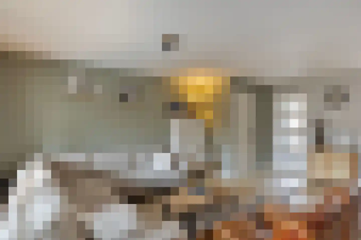 Vaarkamperhof 5 Lunteren thumbnail 8