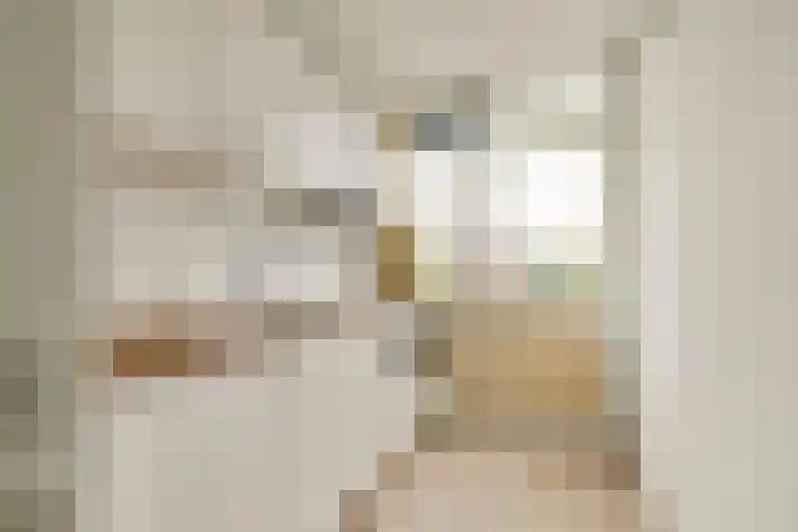 Vaarnerkamp 122 Rotterdam thumbnail 11