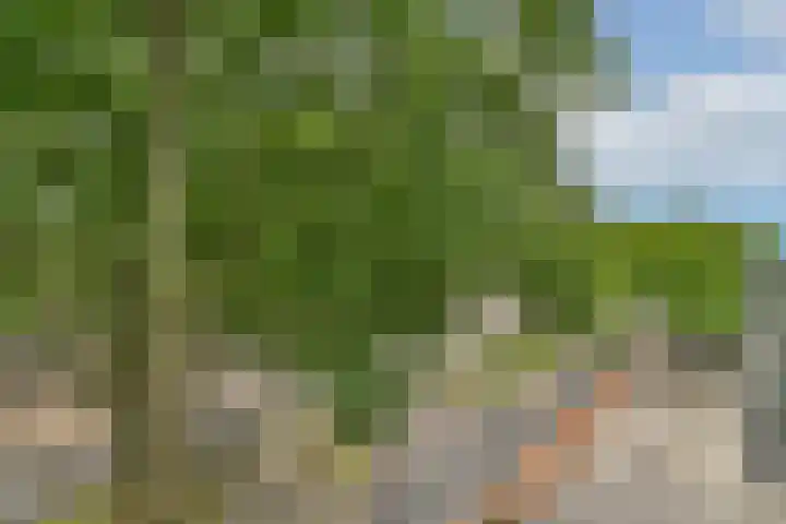 Vaarnerkamp 122 Rotterdam thumbnail 16