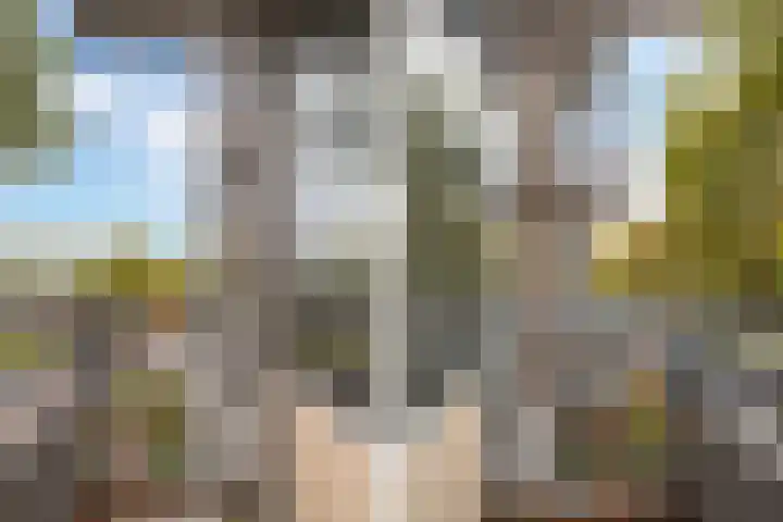 Vaarnerkamp 124 Rotterdam thumbnail 14