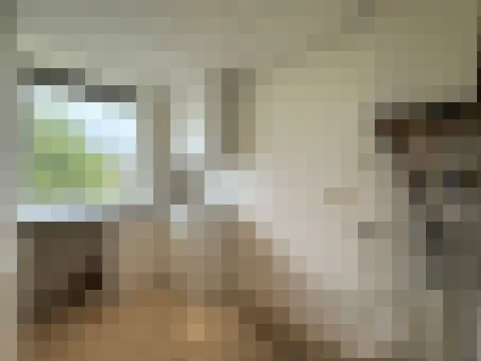 Vaarnerkamp 22 Rotterdam thumbnail 4