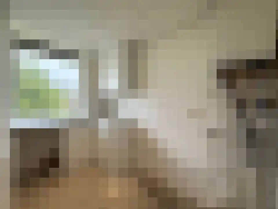 Vaarnerkamp 36 Rotterdam thumbnail 4