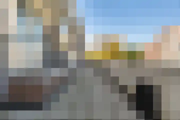 Vaarnerkamp 84 Rotterdam thumbnail 21