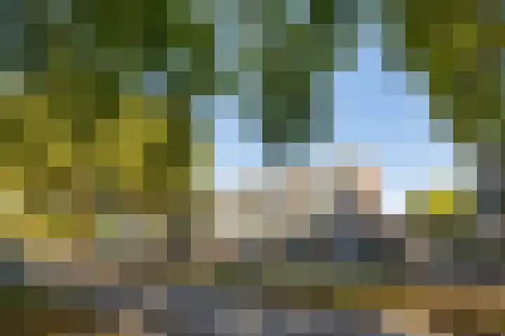 Vaarnerkamp 84 Rotterdam thumbnail 22