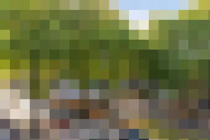 Vaarnerkamp 84 Rotterdam thumbnail 8
