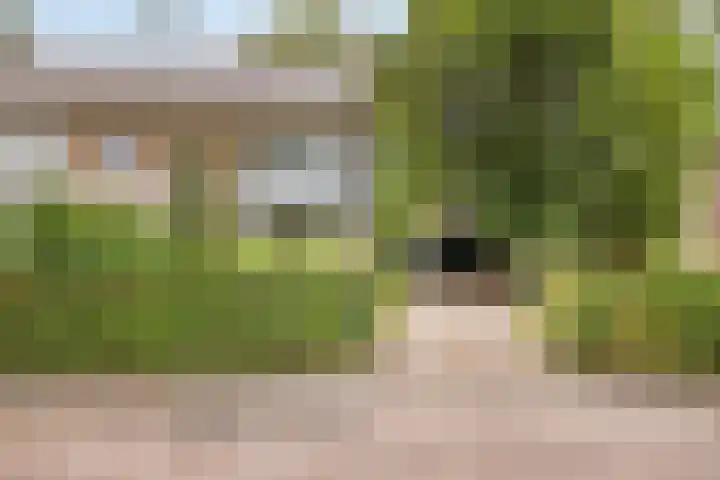 Vaarselstraat 11 Someren thumbnail 30
