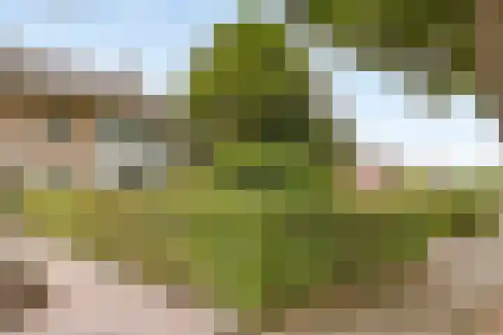 Vaarselstraat 11 Someren thumbnail 31