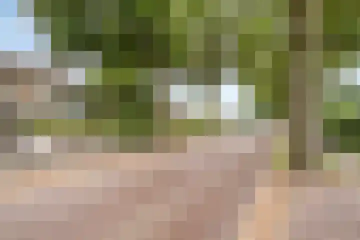 Vaarselstraat 11 Someren thumbnail 32