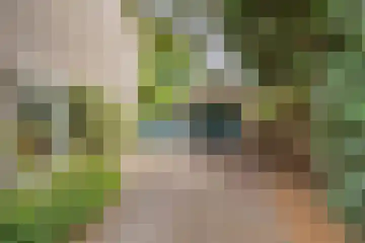 Vaarselstraat 11 Someren thumbnail 34