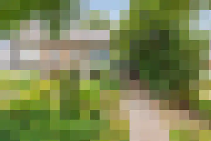 Vaarselstraat 11 Someren thumbnail 37