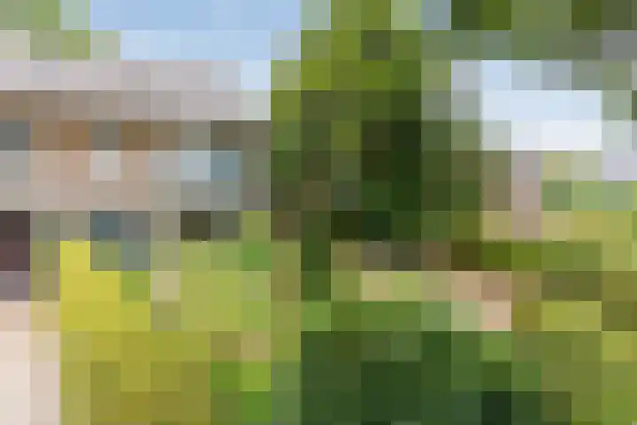 Vaarselstraat 11 Someren thumbnail 38